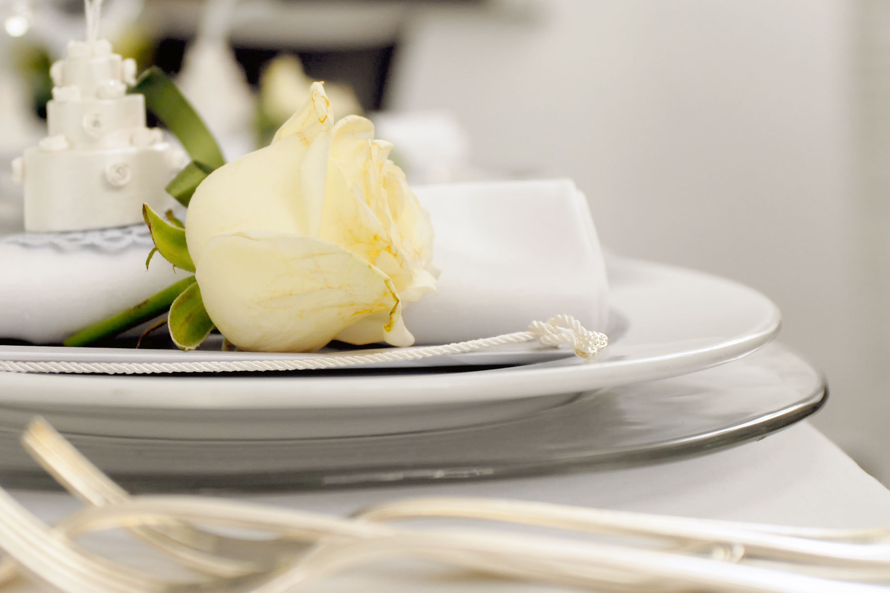 Tavola Dinnerware