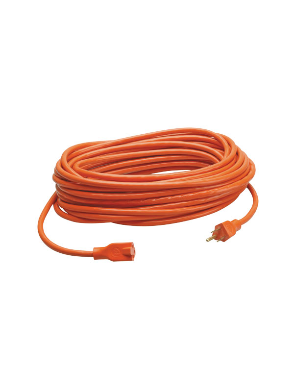 100__Extension_C_4cb7b2926eb45.jpg